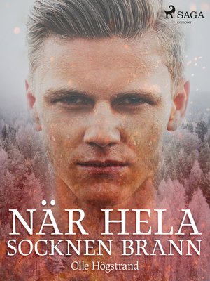 cover image of När hela socknen brann